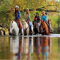 Georgia Horseback Ride with Wine Tasting