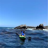 Laguna Beach Open Ocean Kayaking Tour with Sea Lion Sightings