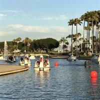 Swan Boat Rental at Rainbow Lagoon in Long Beach