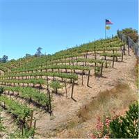 Malibu Wine, Food & Beach Tour