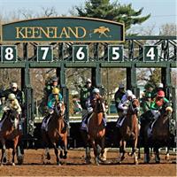 Bourbon &amp; Derby: Makers Mark OR Buffalo trace + Churchill Down