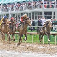 Kentucky Derby Museum - General Admission and Guided Track Visit