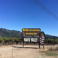 6-Hour Private Wine Country Tour of Napa Valley (up to 6 people) in Large SUV