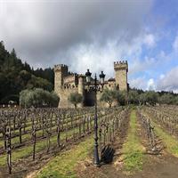 6-Hours Private Napa Wine Tour in a MKT sedan ( 2 Passengers)