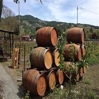 6-Hour Private Wine Country Tour of Napa in Crossover SUV (up to 6 people)