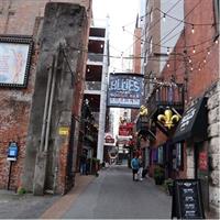 Downtown Nashville Sightseeing Walking Tour