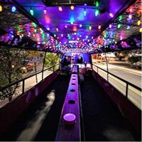 2 Hour Party Bus with Bartender and DJ 21+