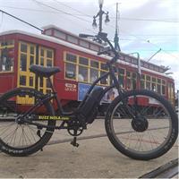 Creole New Orleans Electric Bike Tour (ages 16 &amp; up)