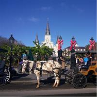 A Local&#x27;s Private French Quarter Walking or Biking Tour