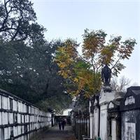 A Local&#x27;s Garden District Tour