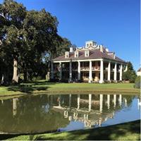 Airboat and Plantations Tour with Gourmet Lunch from New Orleans