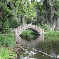 A Walk in the Park: City Park New Orleans Audio Tour