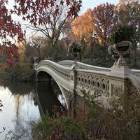 An Epic Scavenger Hunt: New York City Central Park Adventure