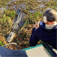 Florida Everglades Airboat Tour and Wild Florida Admission with Optional Lunch