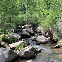 Private Custer State Park Safari and Hiking Tour