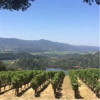 8-Hours Private Limo(up to 8 pass.) Wine Tour of Napa Valley from San Francisco
