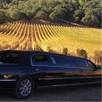 6-Hour Luxury Napa Wine Tasting Tour with Route Planning