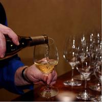 6 Hour Sonoma Pinot Noir and or Zinfandel Wine Tasting Tour