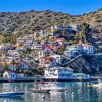 Discover Avalon: Catalina Scenic Tour