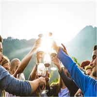 Temecula's Premier Wine Tasting Tour