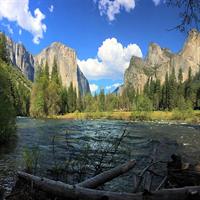 Private Yosemite &amp; Glacier Point SUV / Van Tour Including Hotel Pickup