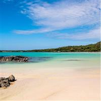 Day Trip to Cerro Mesa and Garrapatero from Puerto Ayora