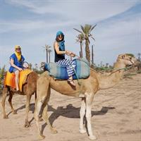 /images/asst/995/marrakech_-_camel_ride_-701426-500.jpg