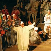 /images/asst/995/marrakech_-_dinner_show_-784584-500.jpg