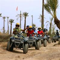 /images/asst/995/marrakech_-_quad_biking_palm_grove-680517-500.jpg