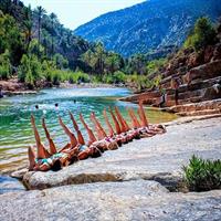 2 in 1 Agadir Paradise Valley + Berber breakfast &amp; quad bike tour