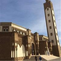 3 in 1 = city tour half day + camel ride 2hours + hammam massage 2hours