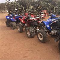 adventure quad agadir: half day sand dune and argan forest