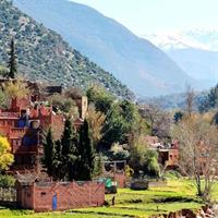 A day trip from FEZ through the MIDDLE ATLAS