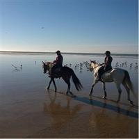 1 day horseback ride with lunch