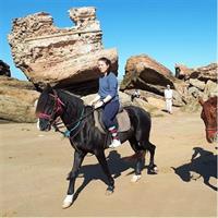 2 hours horse ride beach and dunes in Essaouira Morocco
