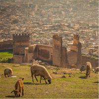 4-Days Immersive Adventure in the Amazon Jungle from Leticia