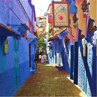 Chefchaouen Day Trip! The Blue Pearl private Tour