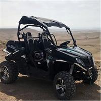 1/2 Day Buggy Marrakech Palmeraie