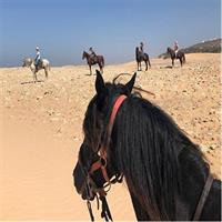 5 hours ride + picnic