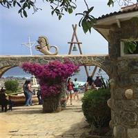 Neruda Museums Isla Negra-La Sebastiana From Valpo. Private Tour
