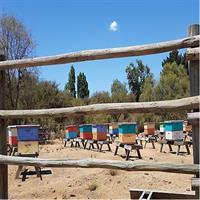 A Day in the Countryside: Family Farm &amp; Spa Experience