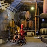 Aconcagua Private Wine Lovers Premium Tour
