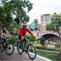 Ballestas Islands Boat Tour in Paracas