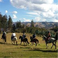 Adrenalin Mystic Tour Full Service