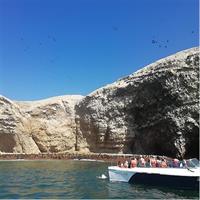 Ballestas Islands, Winery &amp; Nazca Lines Express Tour from Lima