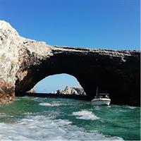 Ballestas Islands, Paracas Reserve &amp; Skulls Museum Private Tour