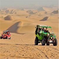 Ballestas Islands &amp; Huacachina Oasis from Lima - Private Trip