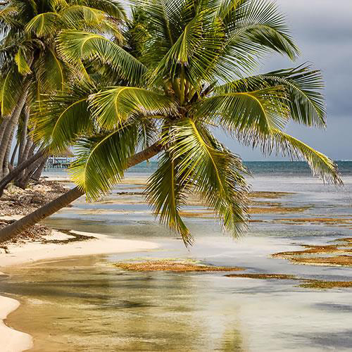 Ambergris Caye city