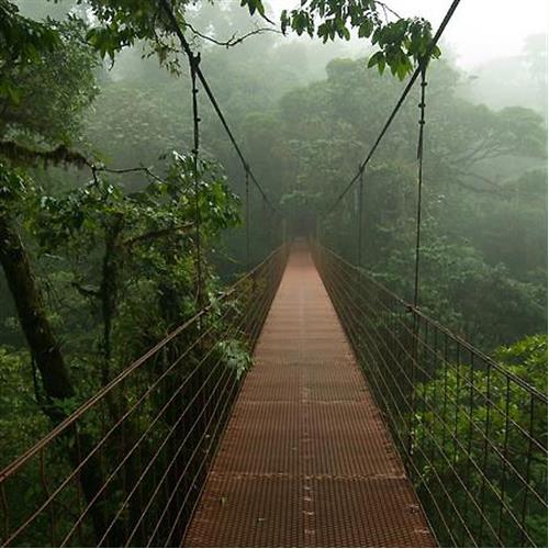 Monteverde Cloud Forest- All-Inclusive
