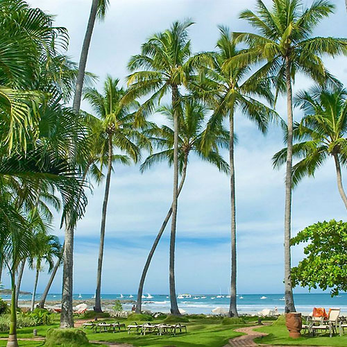 Tamarindo Beach- All-Inclusive